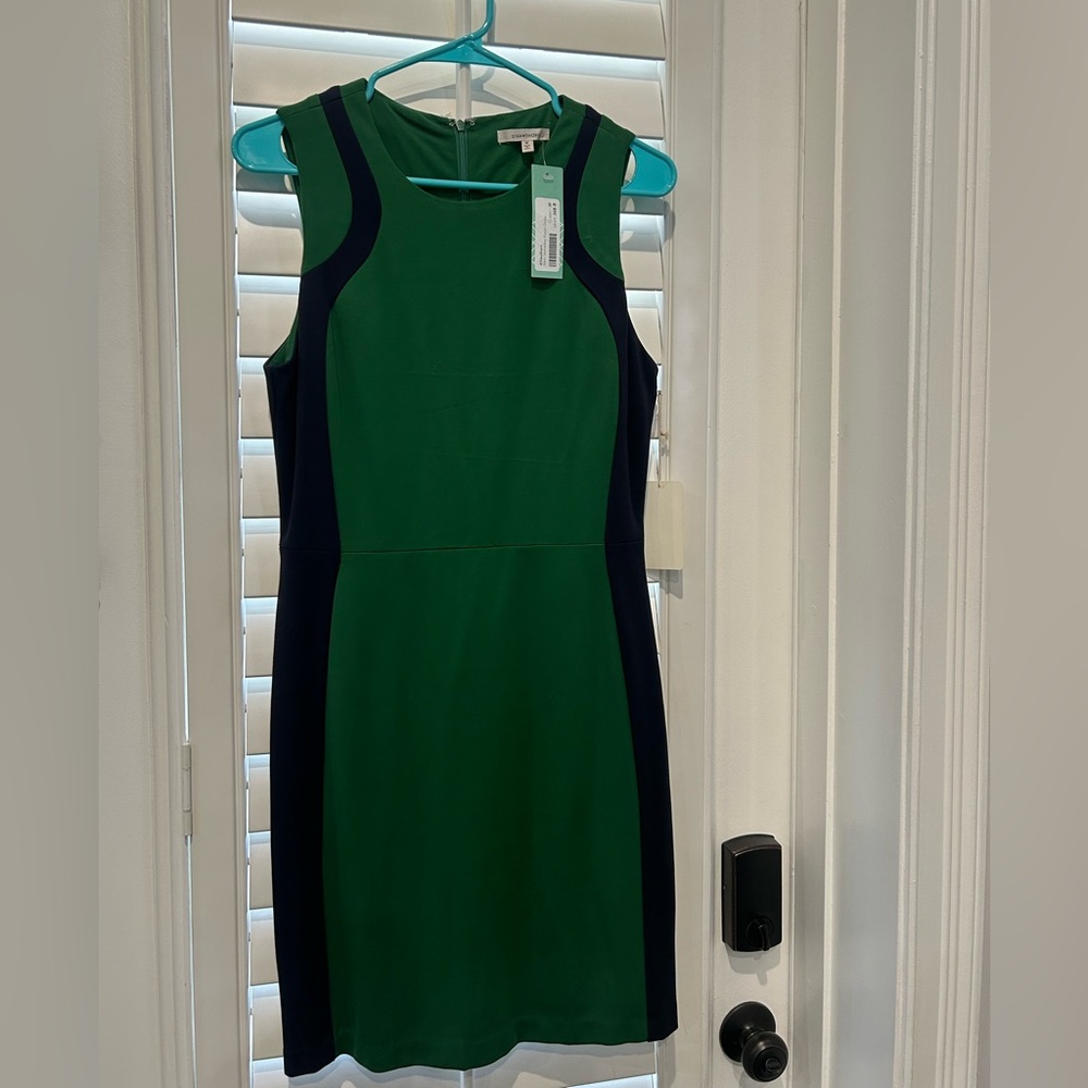 NWT sleeveless illusion dress in green with navy blue stripes. Size M